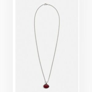 Nwt- Zara- stone pendant necklace